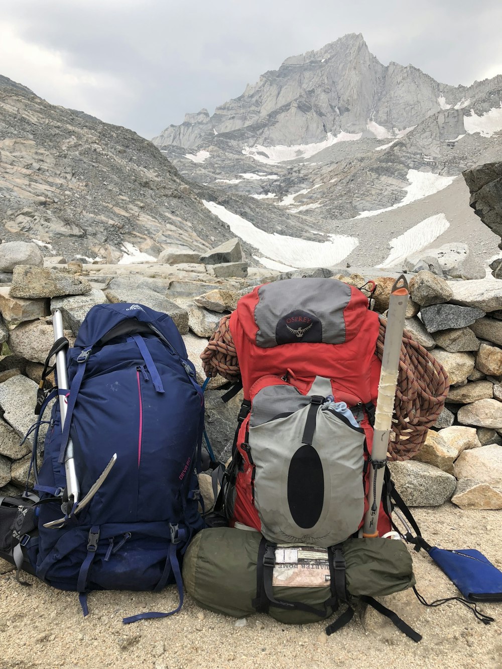 two blue and gray rucksack bags