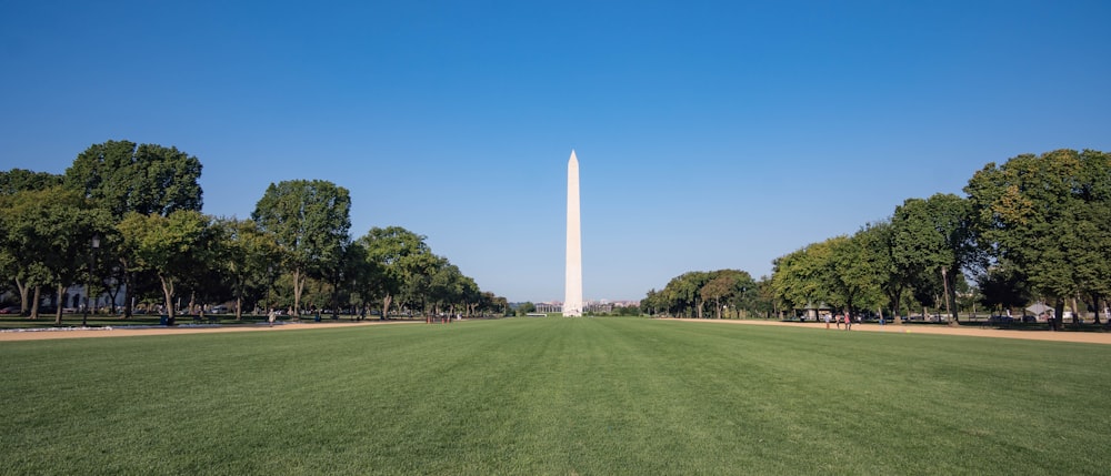 white obelisk near green trees