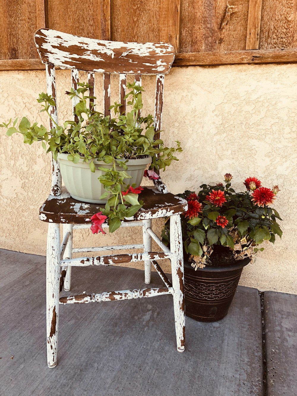 a chair with a potted plant sitting on top of it