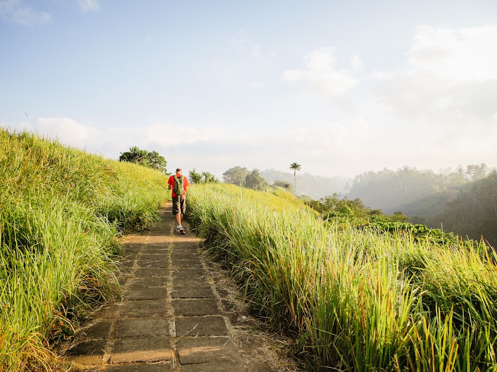 person walking in a road near green grass during daytime