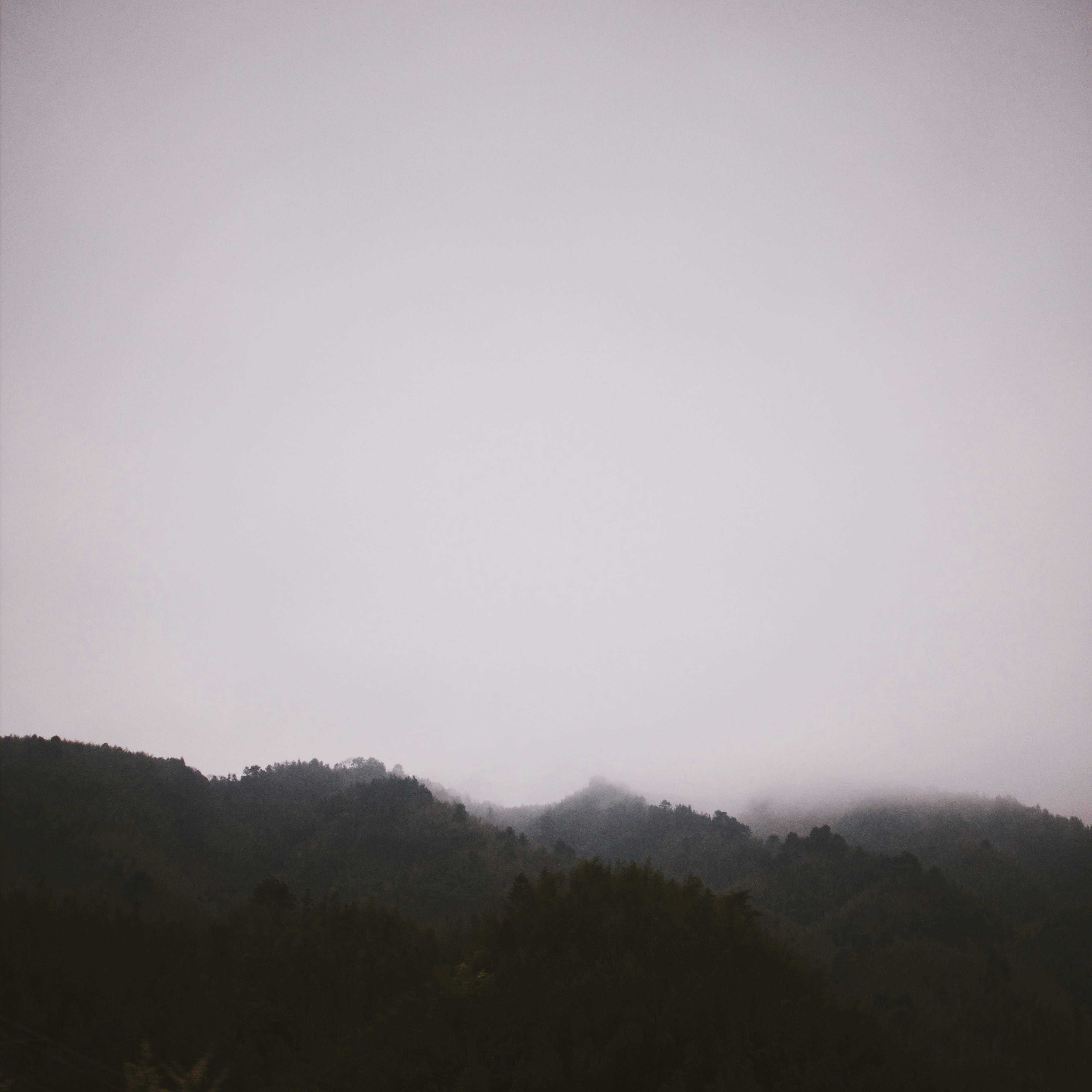 Photo by kennyzhang29