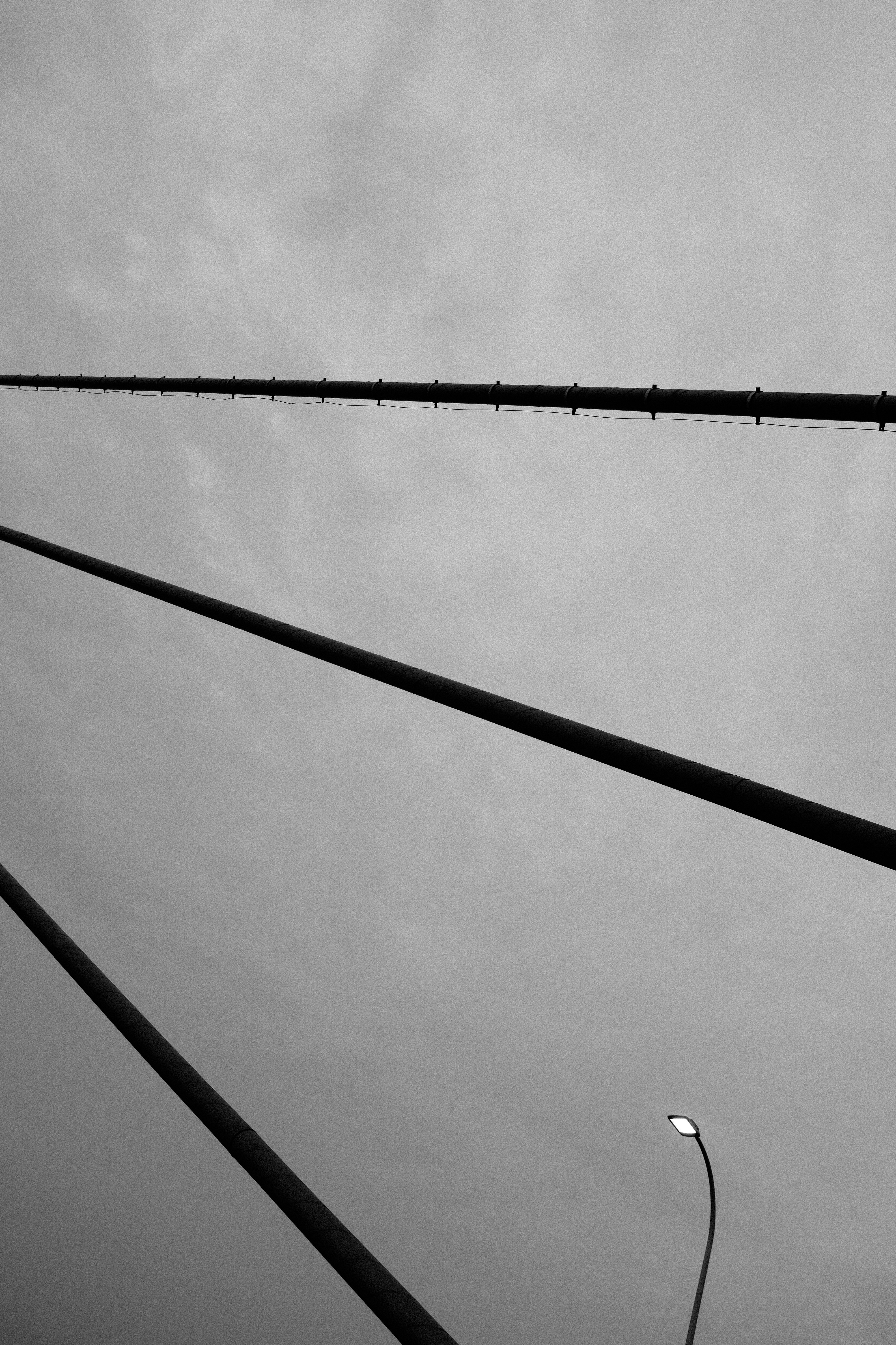 Photo by kennyzhang29