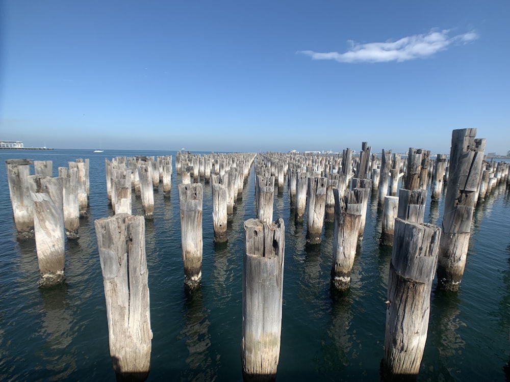 grey wooden post lot during daytime