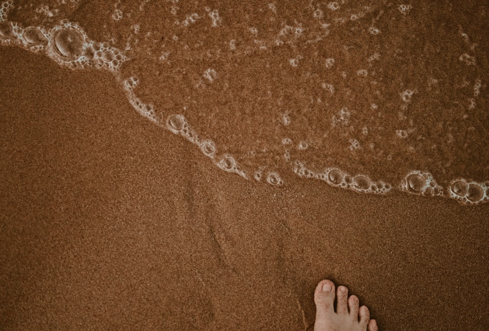 human foot seashore