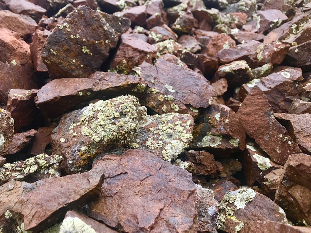 brown rocks