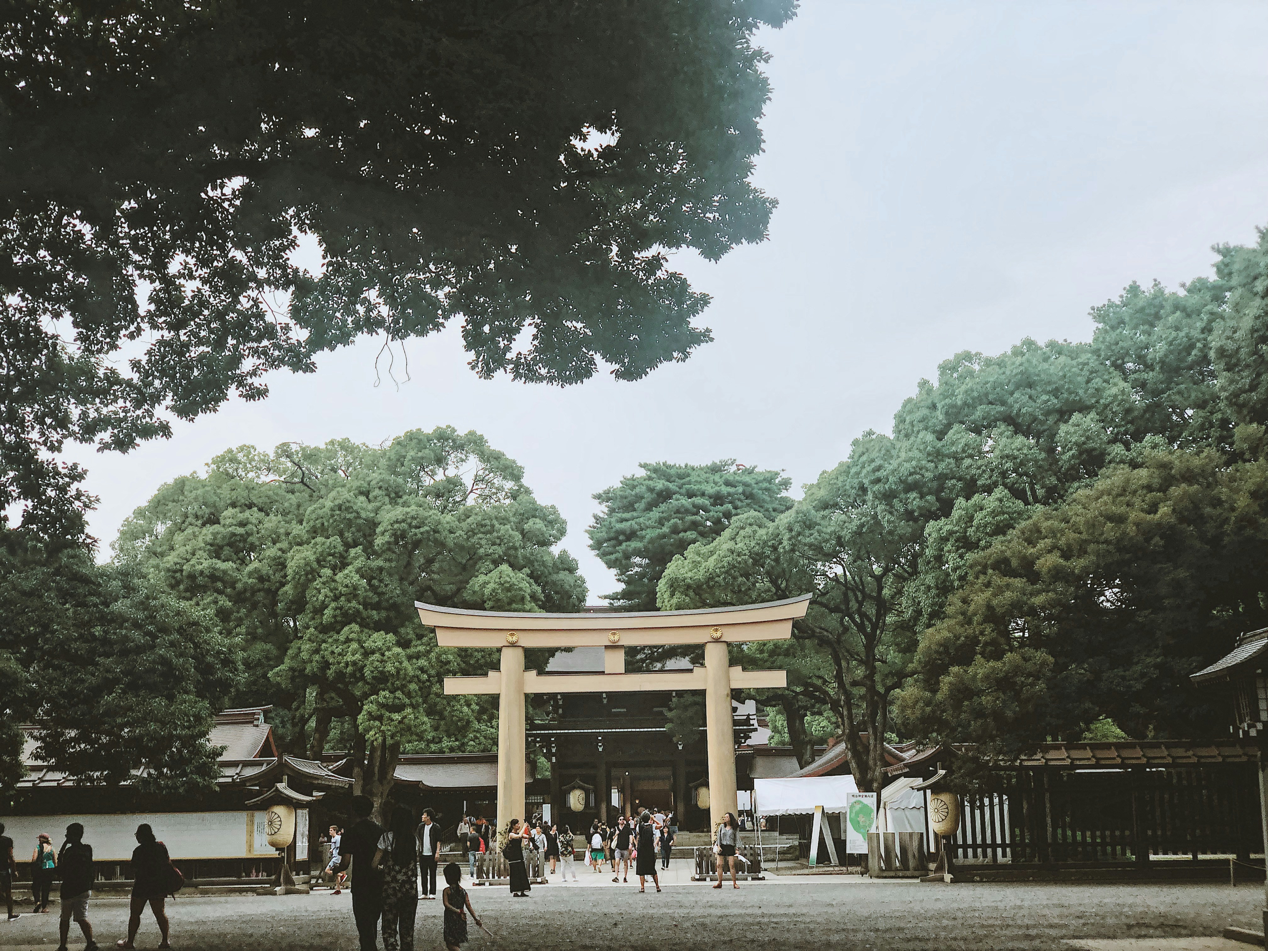 Photo by bingh