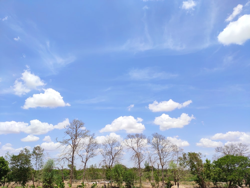 white clouds