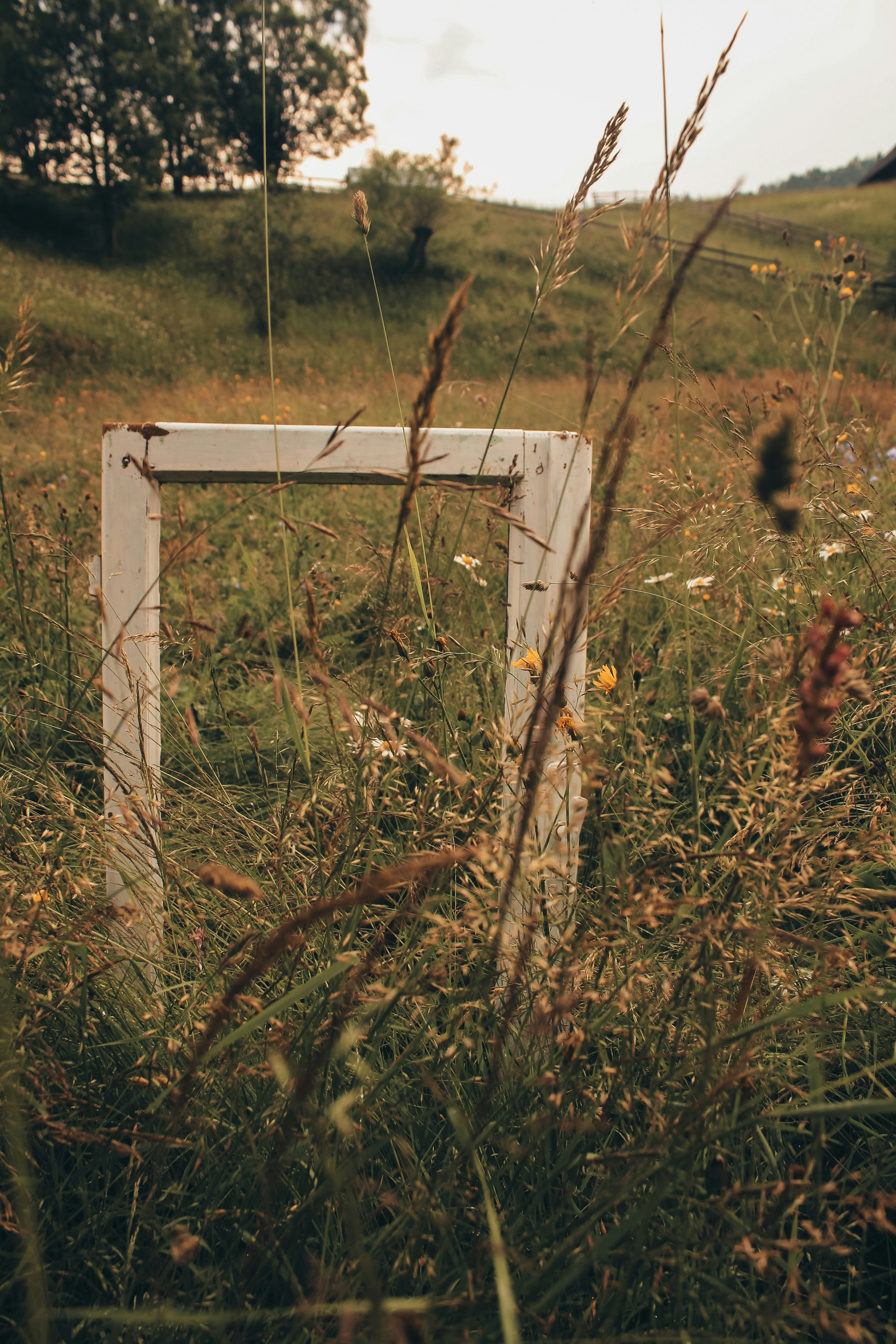 Photo by crinaparasca