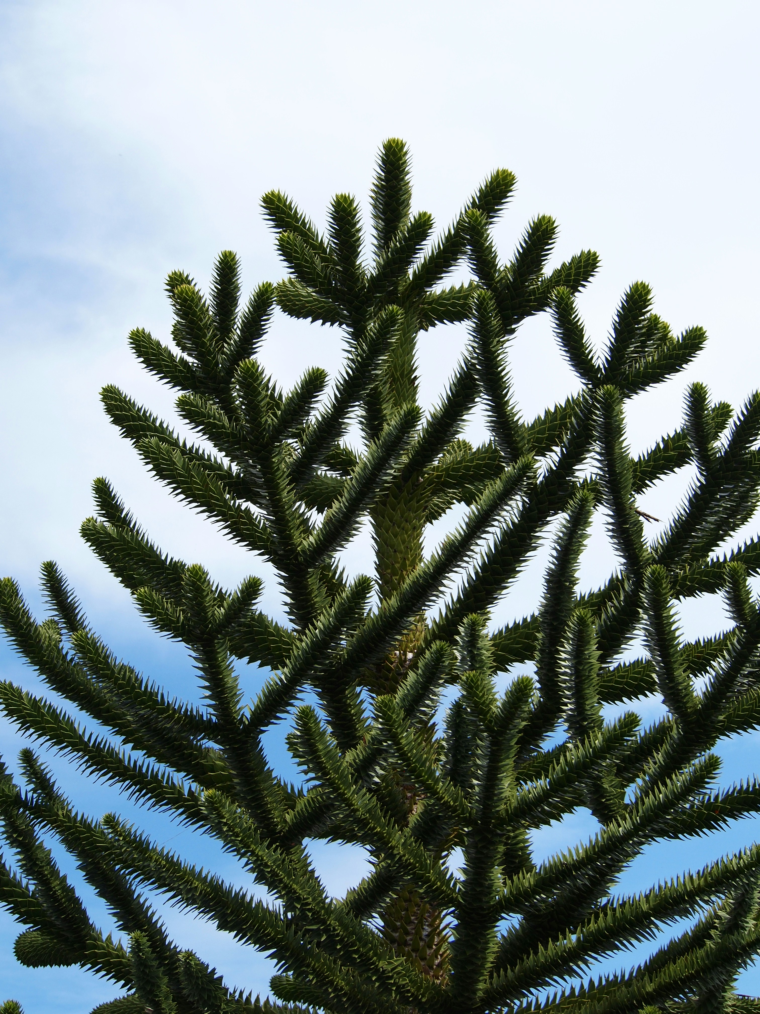 Photo by celineaumard