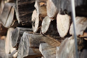 Close-up of dry oak logs showing rich texture and grain, ready for burning.