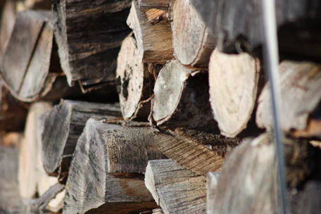 Close-up of hickory and apple wood logs stacked ready for smoking.