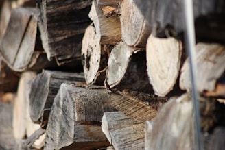 A close-up of seasoned firewood showcasing its texture.