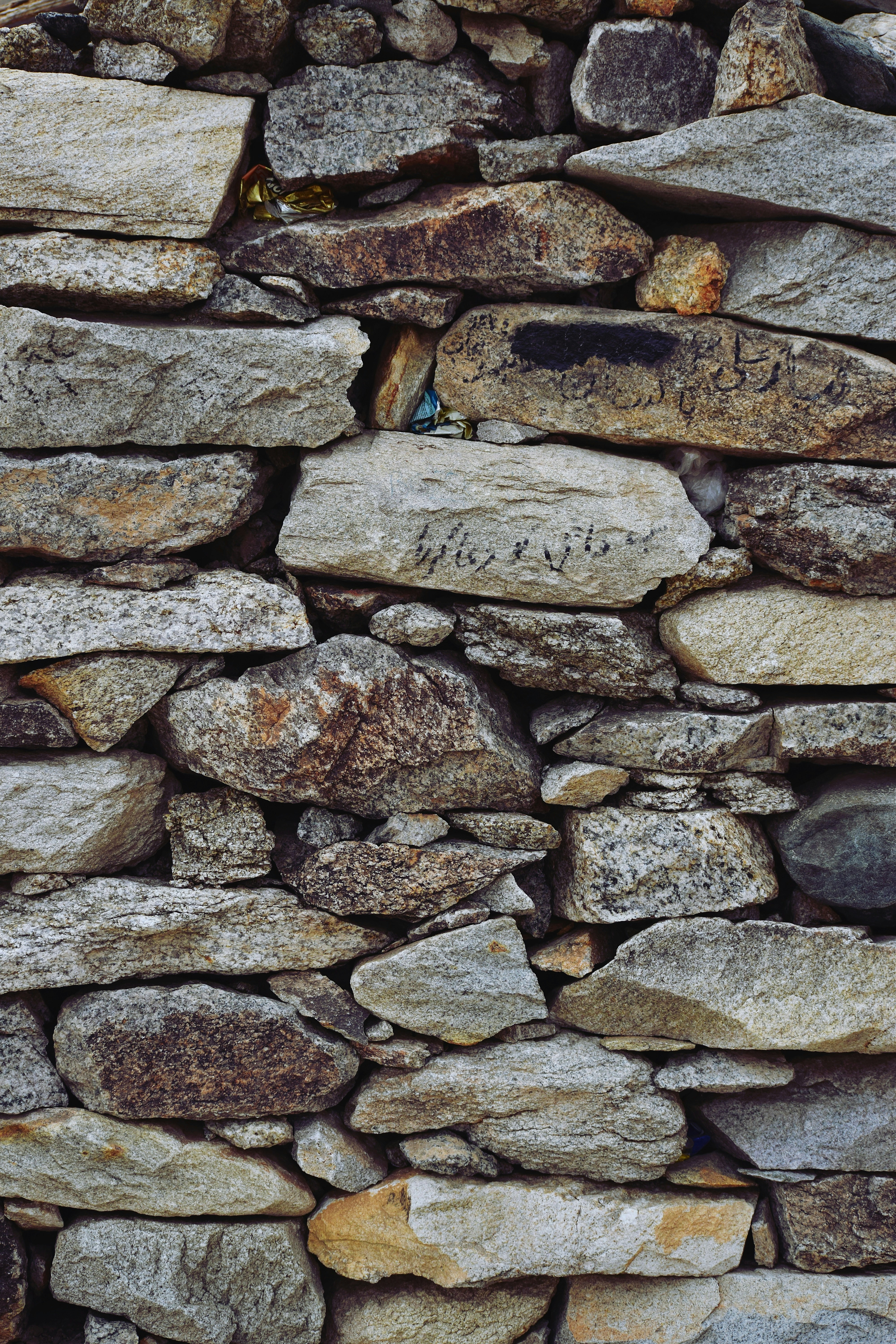 Photo by hydngallery