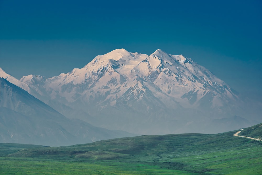 grass field and glacier mountain