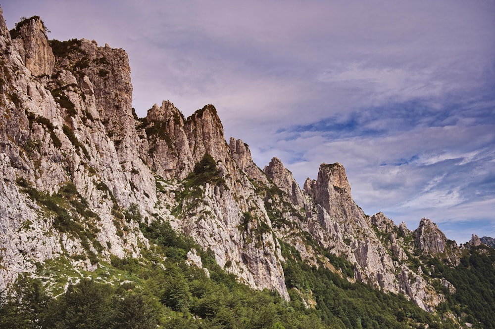 a group of mountains with trees in the foreground