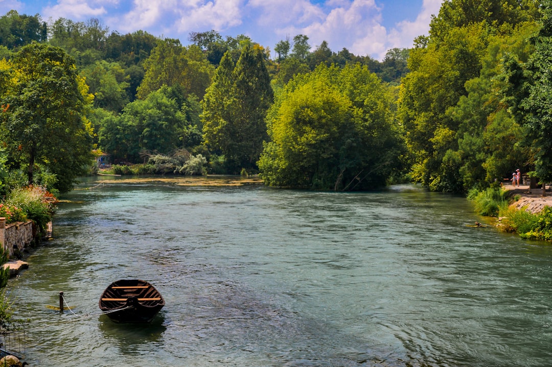 black and brown boat on lake surrounded with tall and green trees under blue and white skies