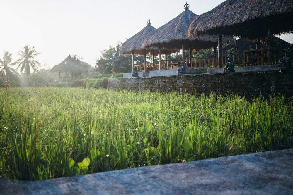 brown straw hats near green field