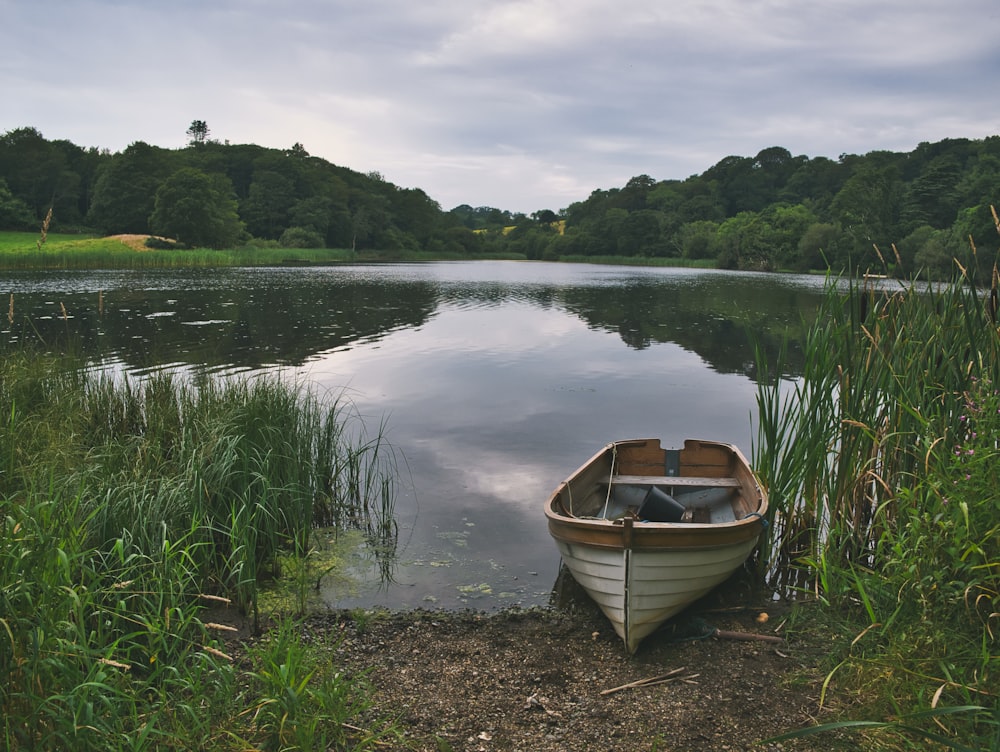 brown canoe docking on grasss