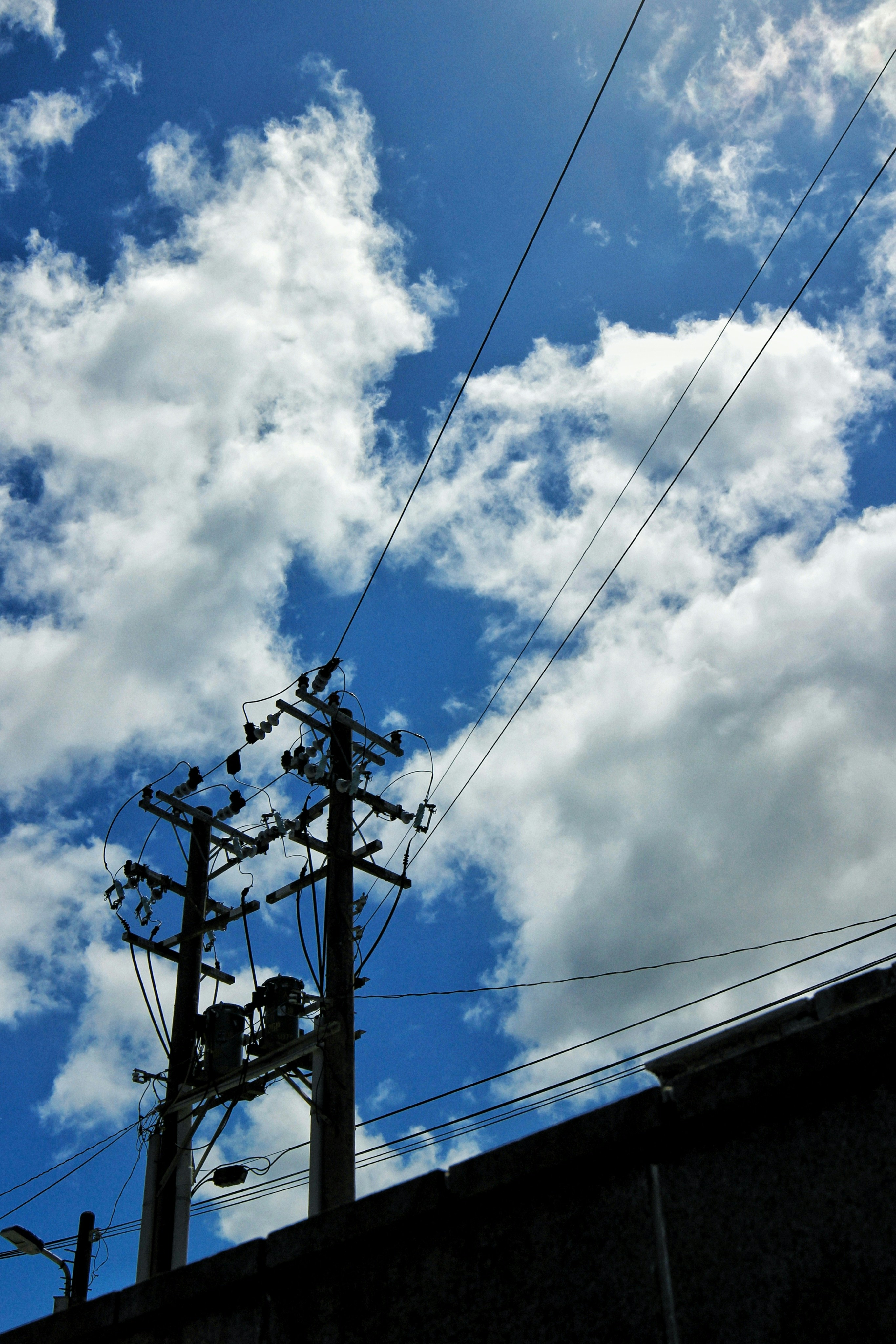 Photo by pretendxiang