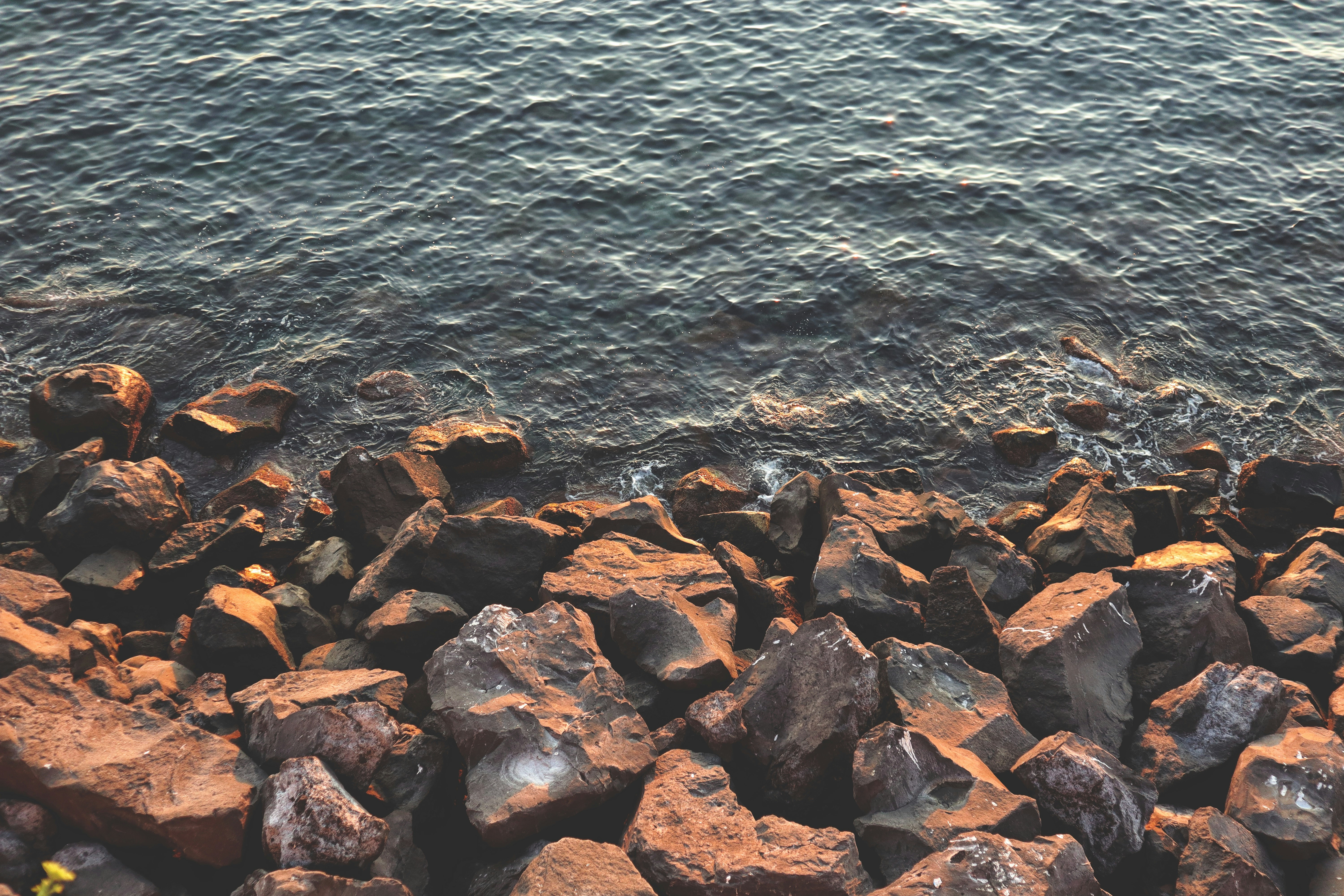 Photo by elio_mercogliano