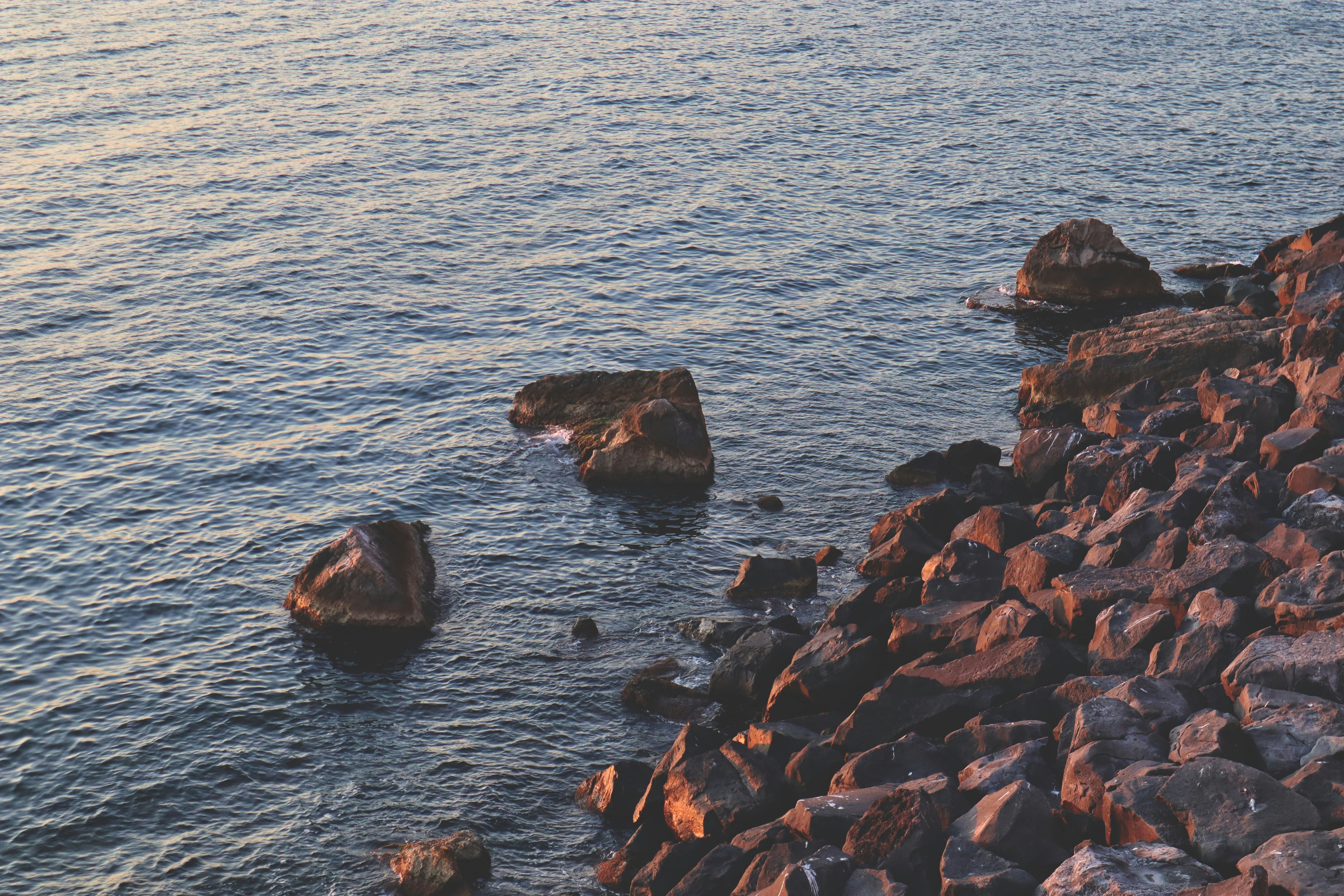 Photo by elio_mercogliano