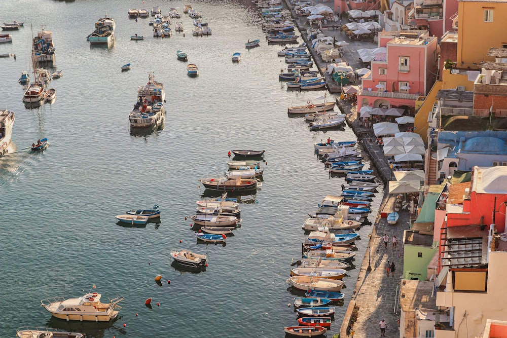 aerial photography of boats on harbour during daytime