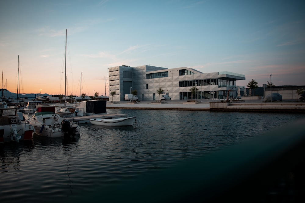 boats on harbour during daytime