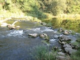 A peaceful river view with smooth stones and vibrant green foliage reflecting in the water.
