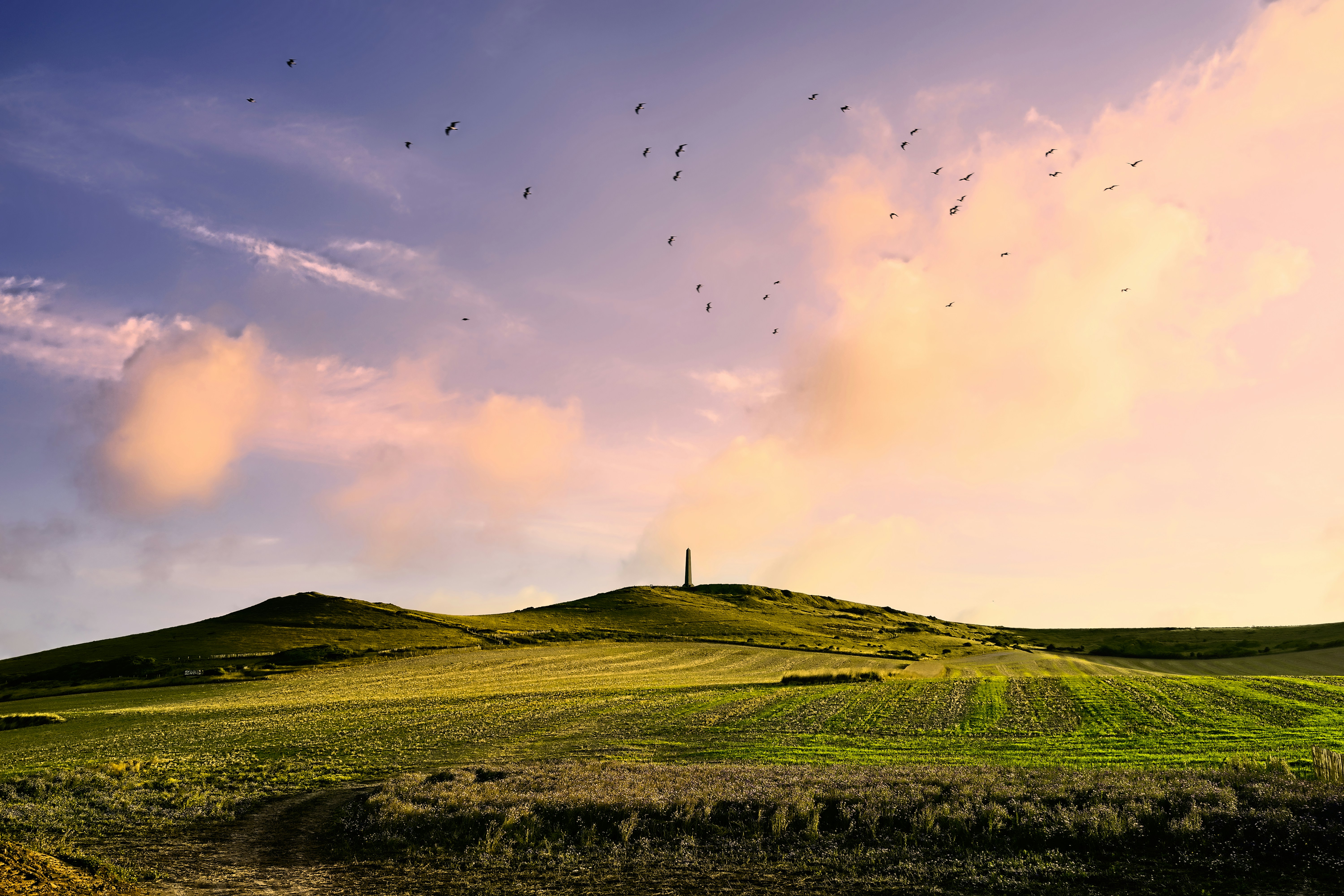 Photo by treesoftheplanet