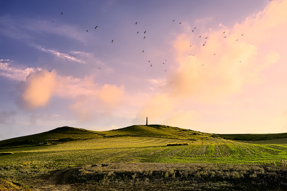 Grüne Felder tagsüber unter bewölktem Himmel