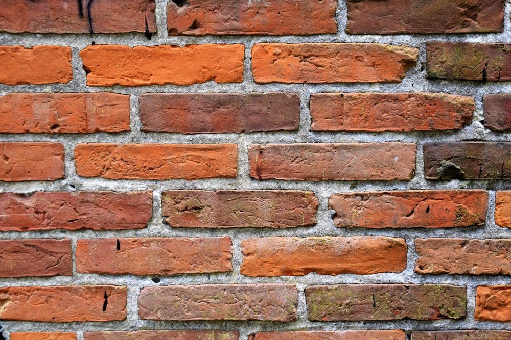 brown concrete wall