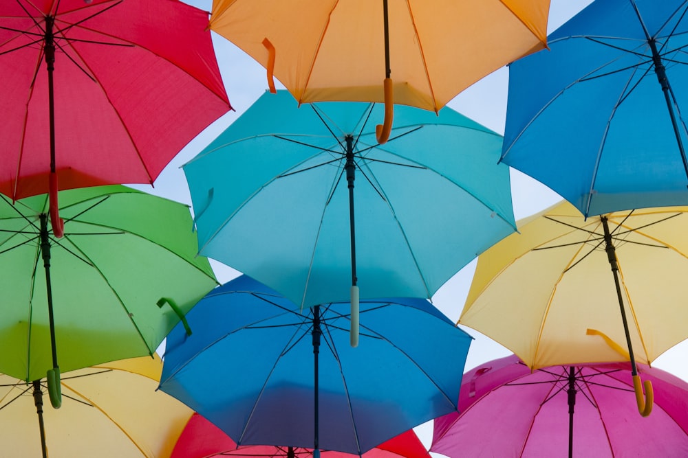 assorted-color umbrellas