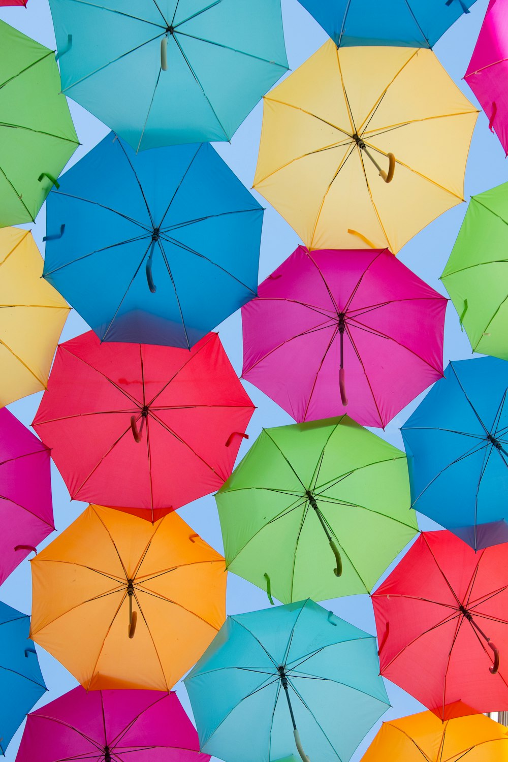 assorted-color umbrellas