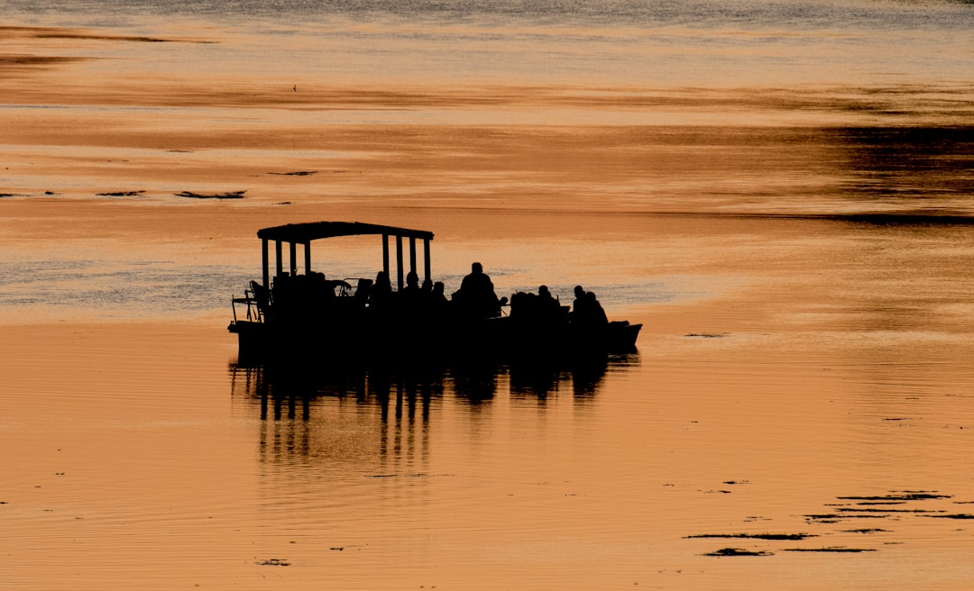 silhouette photo of boat