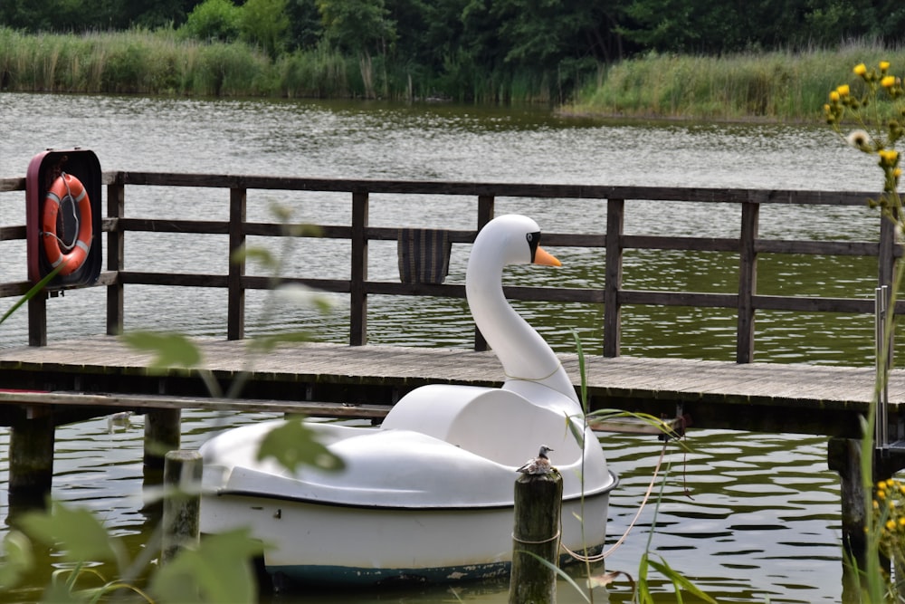 white swan boat on body of water beside dock