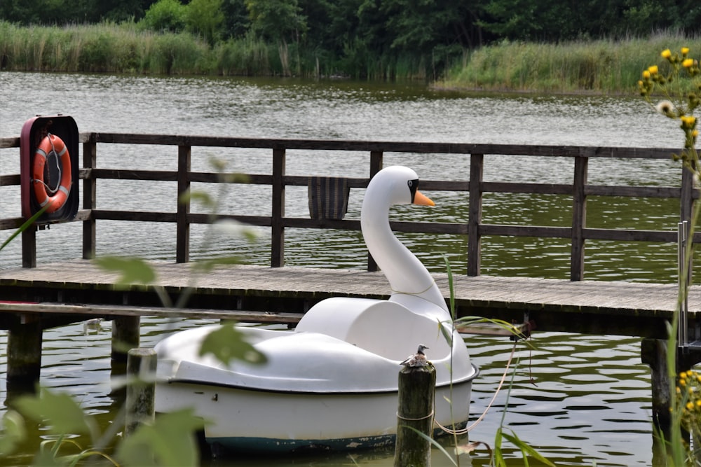 Barco de cisne branco no corpo de água ao lado da doca