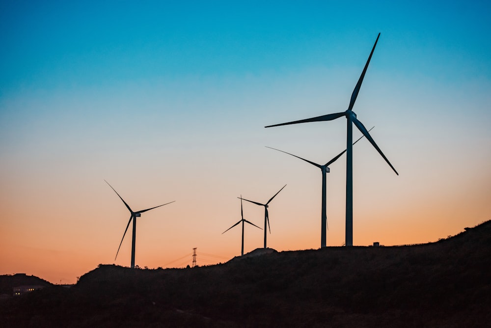 Molinos de viento negros