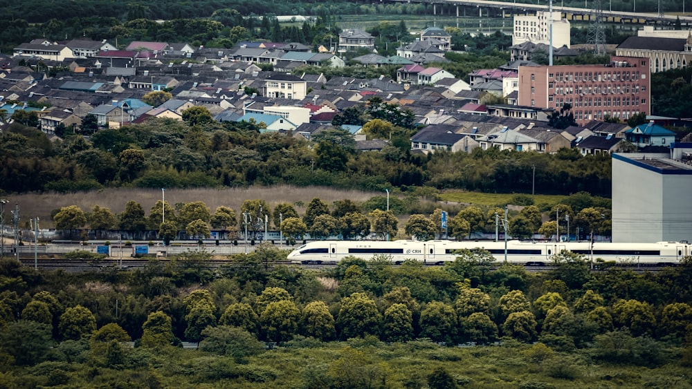 houses near green field beside train