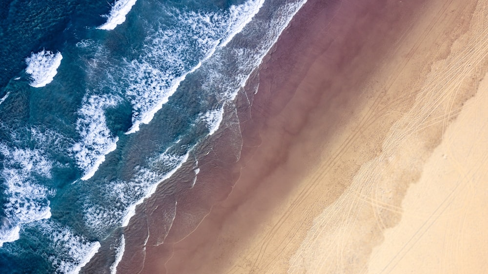 aerial photo of shore