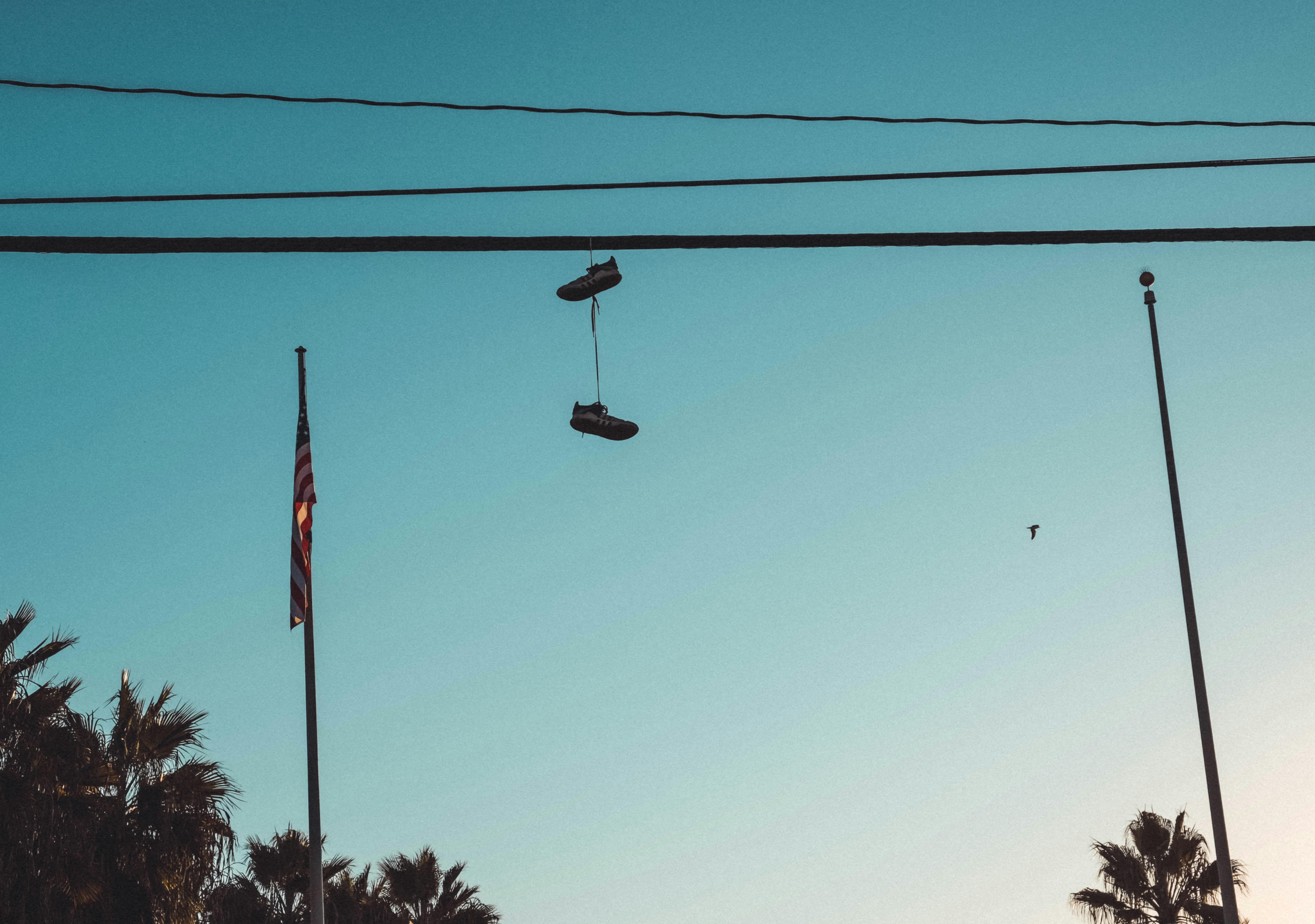 Photo by danielatkins