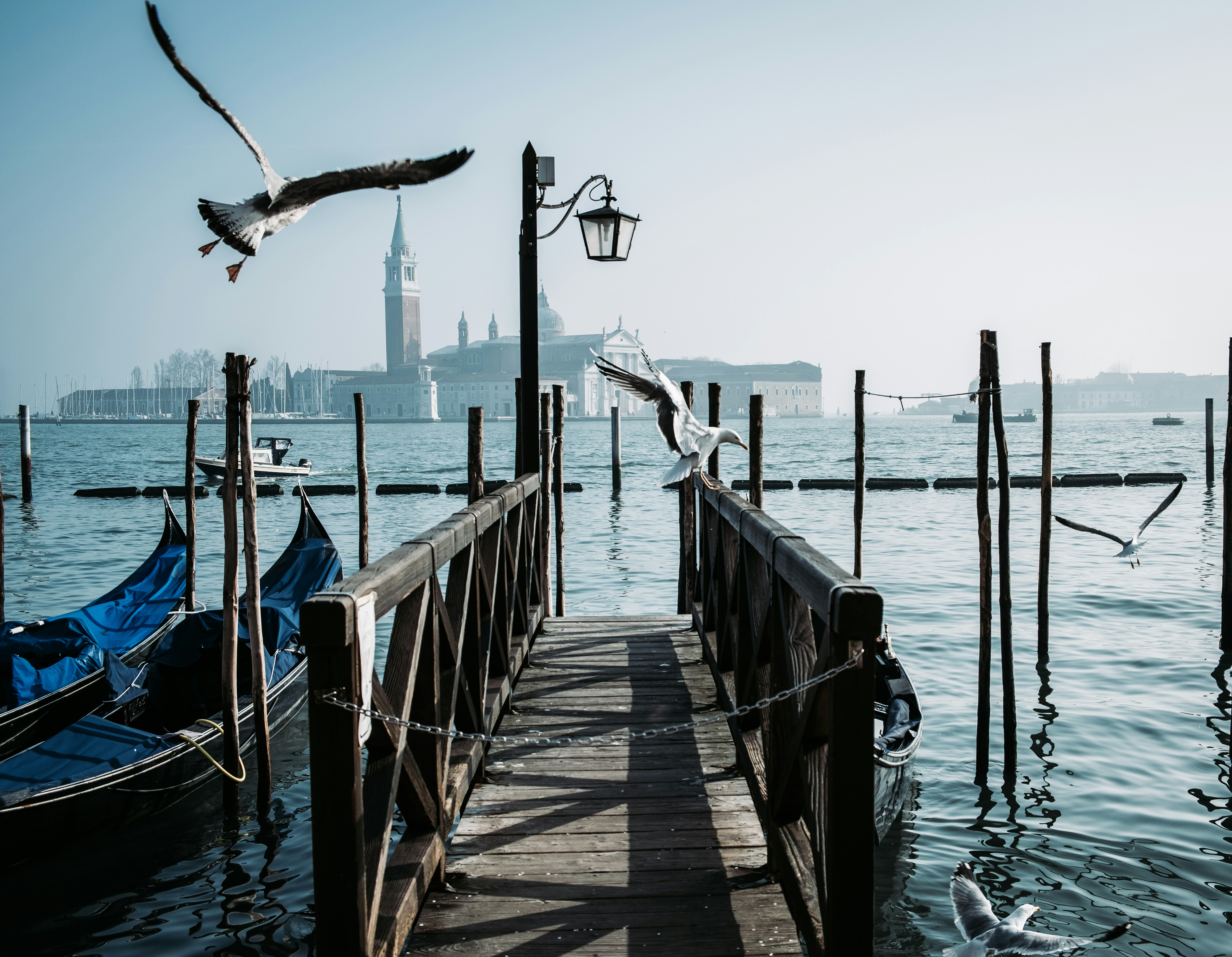 Photo by danielatkins