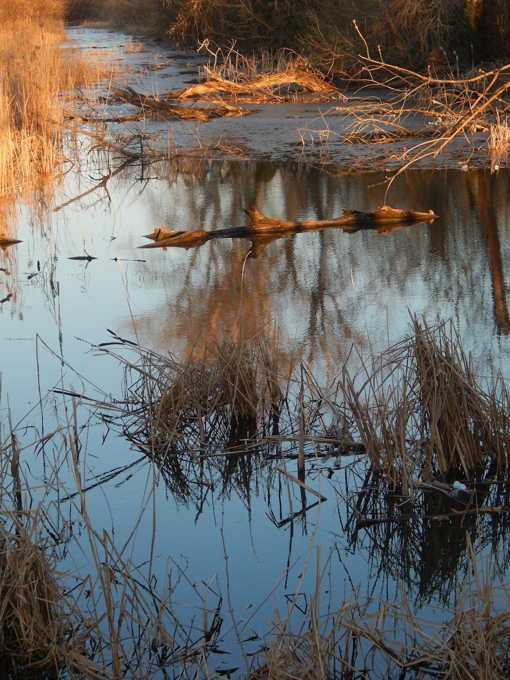 plan d’eau