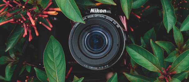 black Nikon camera behind green plants