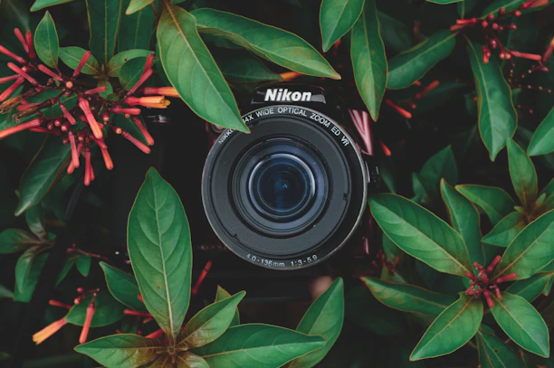 Close-up of a camera lens capturing a vibrant outdoor scene with natural light.