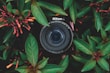 Carlos Gutierrez Fotografía logo