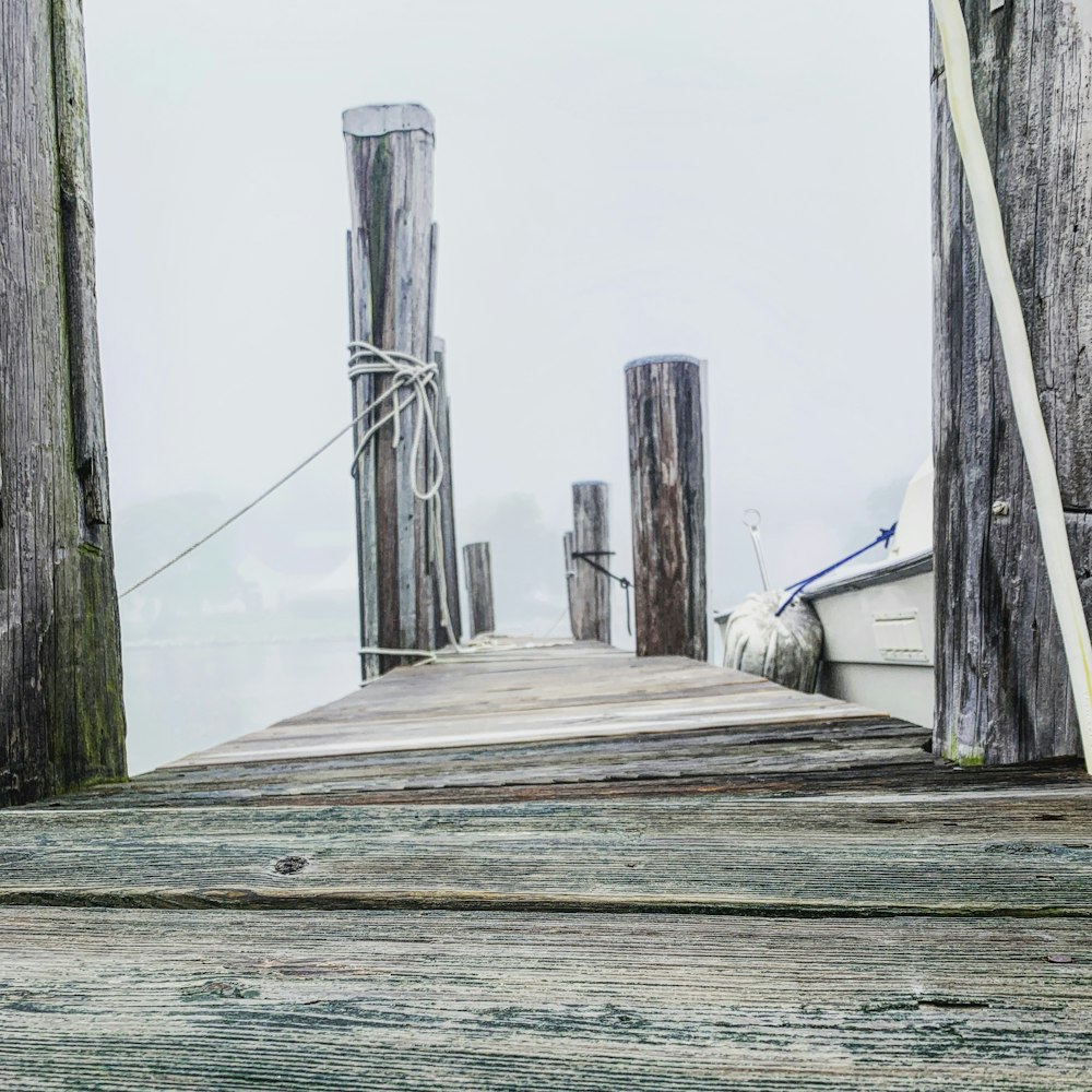 gray wooden boardwalk during daytime