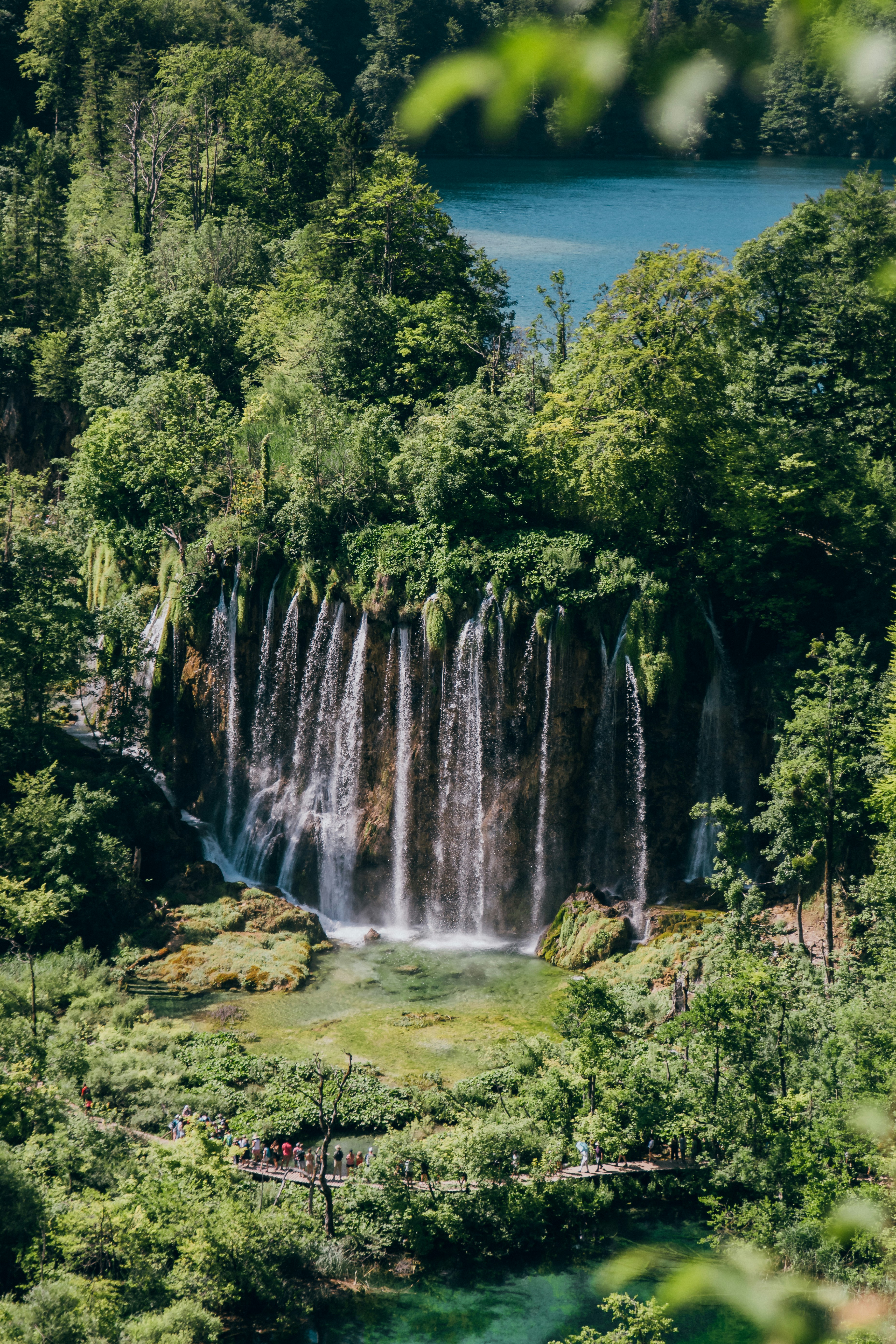 waterfalls on forest