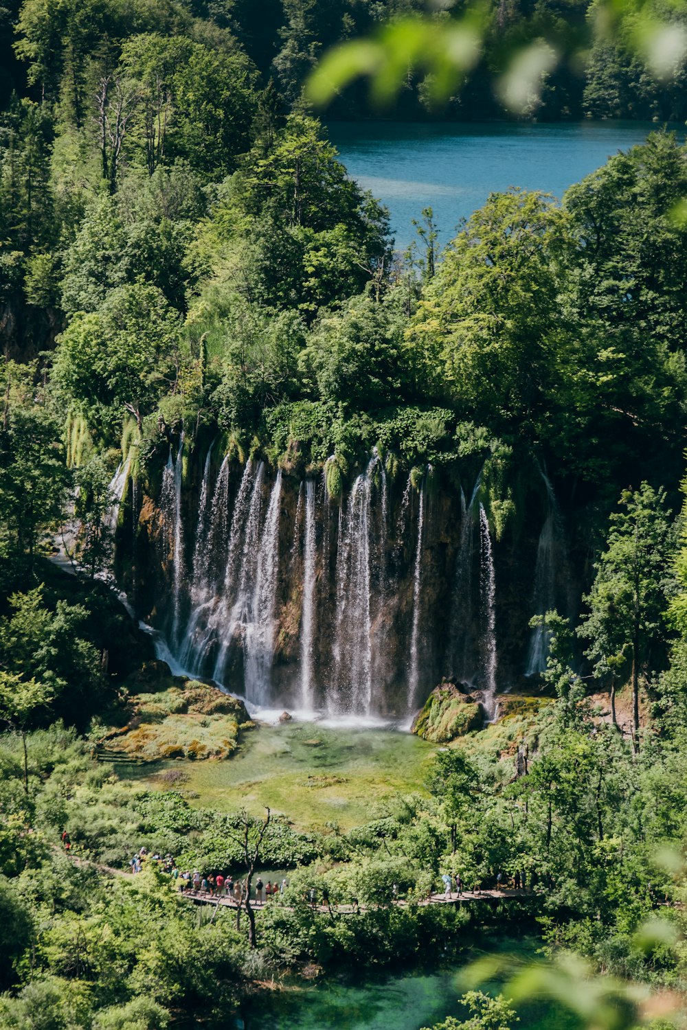 waterfalls on forest