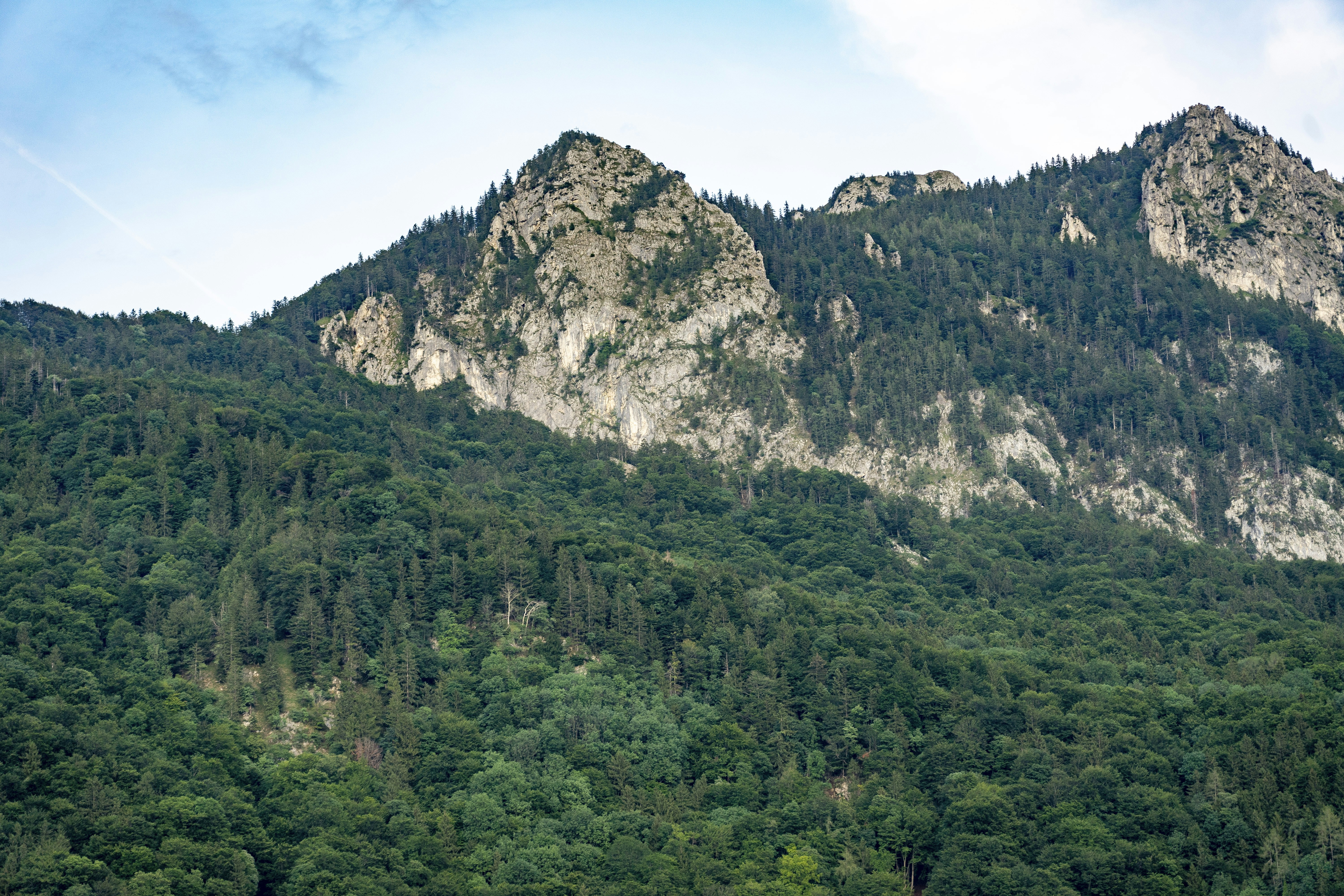 Photo by nilsschirmer