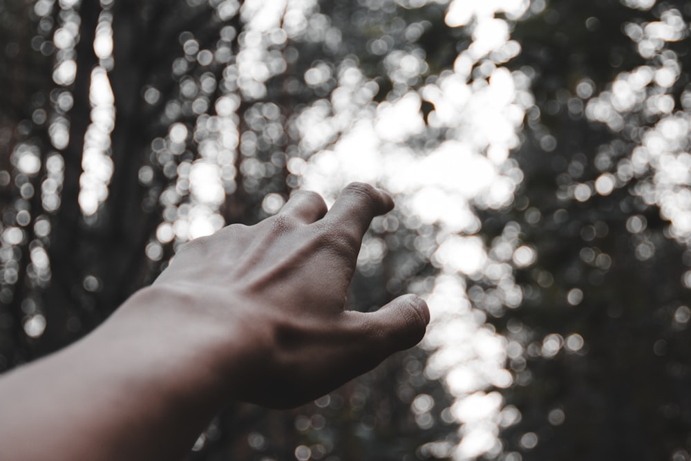 a person holding out their hand in front of a forest